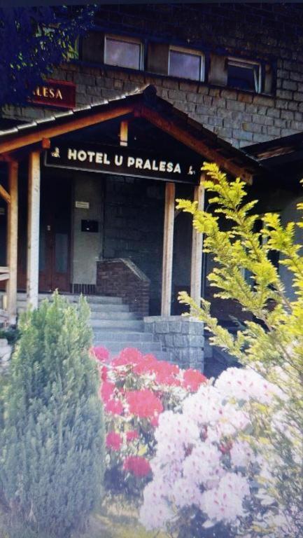 Kopretina Apartman Cerne Udoli Kültér fotó