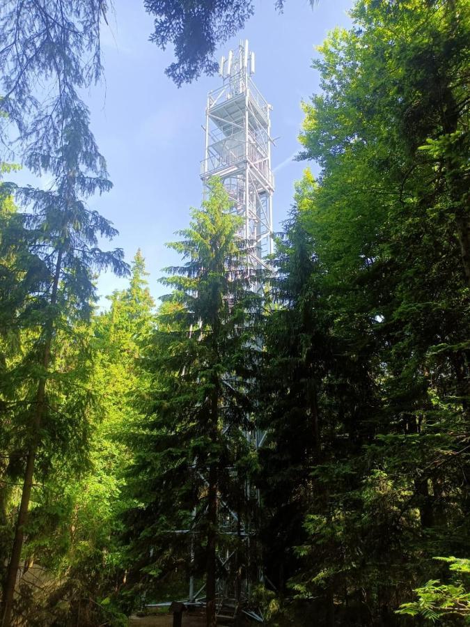 Kopretina Apartman Cerne Udoli Kültér fotó